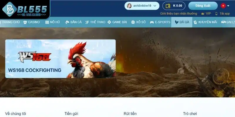 Khám phá sảnh Đá Gà BL555