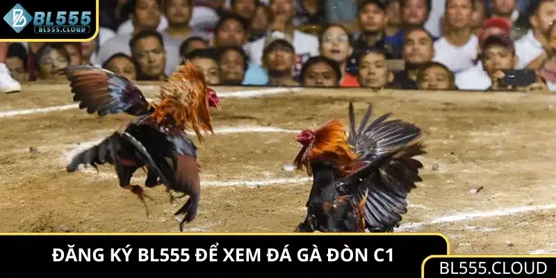Đăng ký BL555 để xem đá gà đòn C1