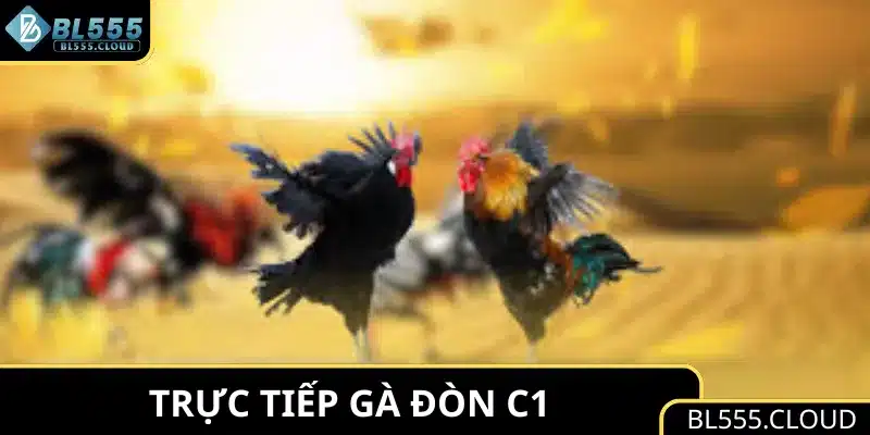 Trực Tiếp Gà Đòn C1 - Cập Nhật Kết Quả Nhanh Và Chính Xác